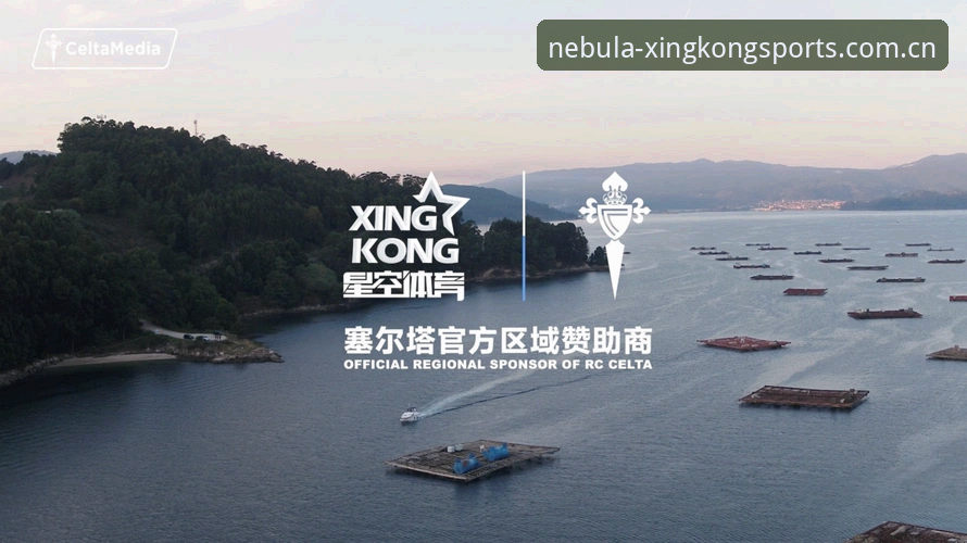 星空体育平台功能详解与登录入口使用指南