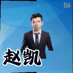 赵凯